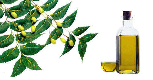 Standard oil neem oil 5
