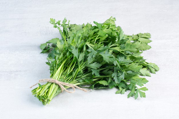 bunch fresh coriander leaves stone surface high quality photo 114579 26912