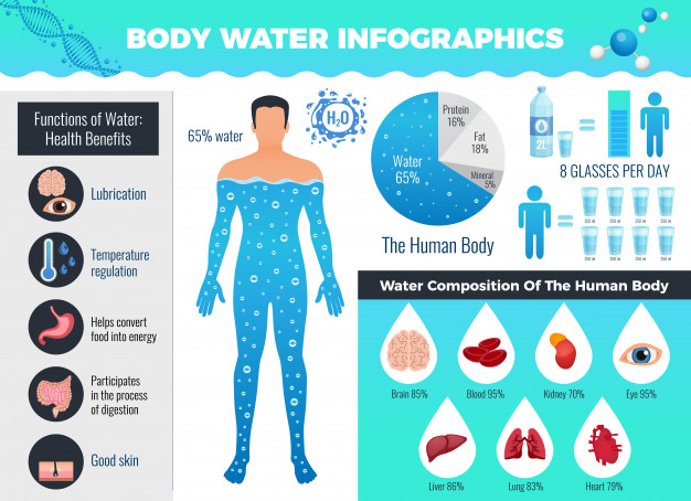 body water infographic set with water balance flat vector illustration 1284 30175