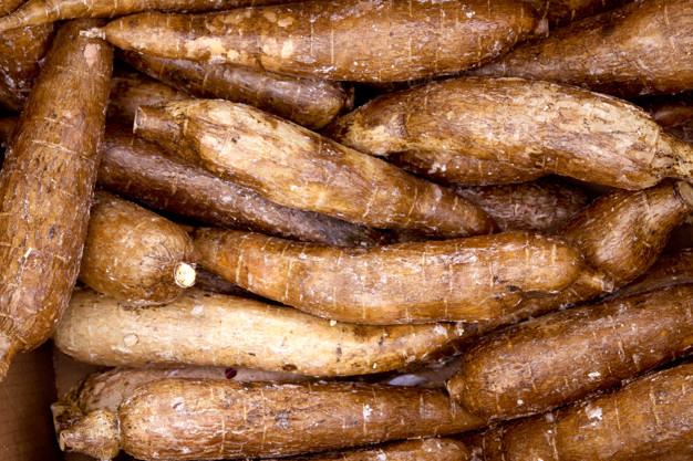 cassava yucca rhizomes vegatable food pattern 79295 19530 1