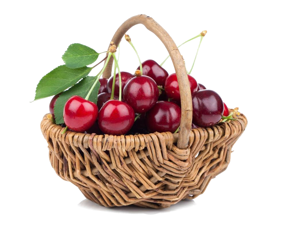 kisspng black cherry stock photography fruit berry cherry 5a9213317e50f9.4478397115195226095174
