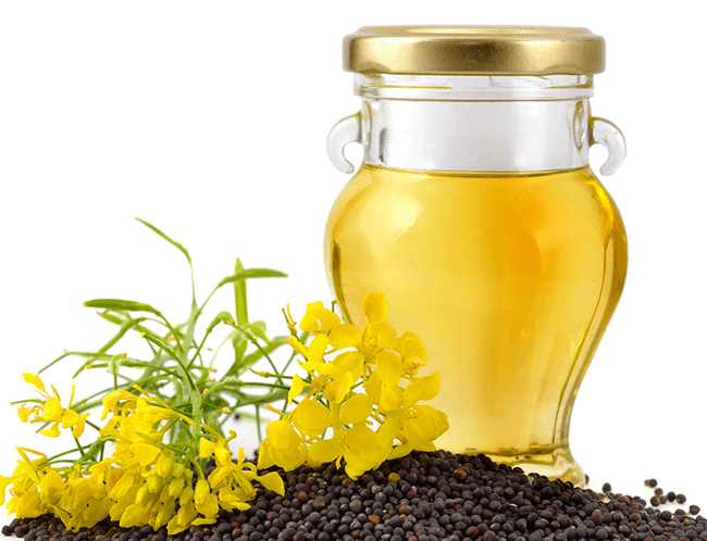 kisspng canola colza oil sunflower oil olive oil 5b37c7cc3dbef7.4672269915303822842529