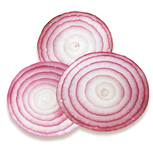 kisspng red onion onion ring pizza hamburger 5ae72ed5447b35.7810479015251002452805