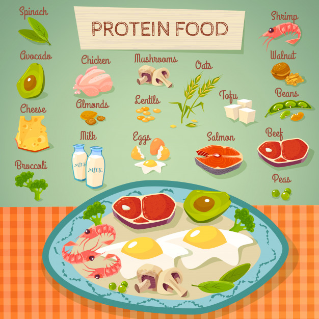 protein food raw cooked background 1284 9935