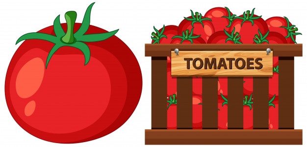 basket full tomatoes white 1639 10654