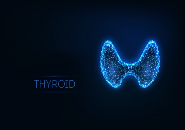 futuristic glowing low polygonal human thyroid gland isolated 67515 878