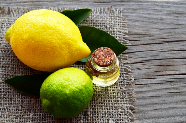 lemon essential oil glass bottle with fresh lemon lime fruits lemon oil spa aromatherapy bodycare extract oil lemon selective focus 129199 197