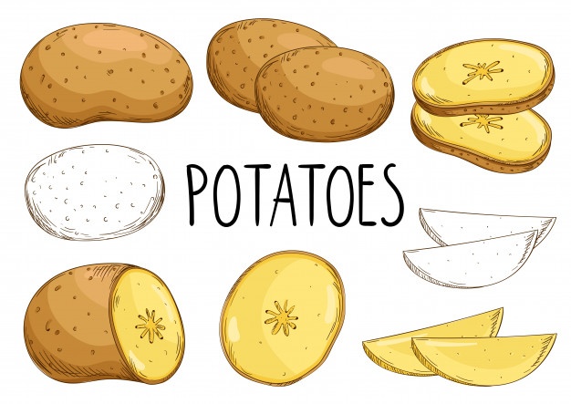 potatoes isolated white background 124507 6246