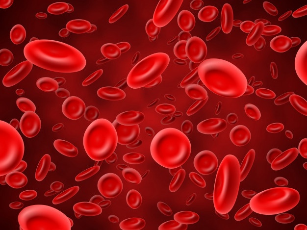 red blood cells background 53562 6792