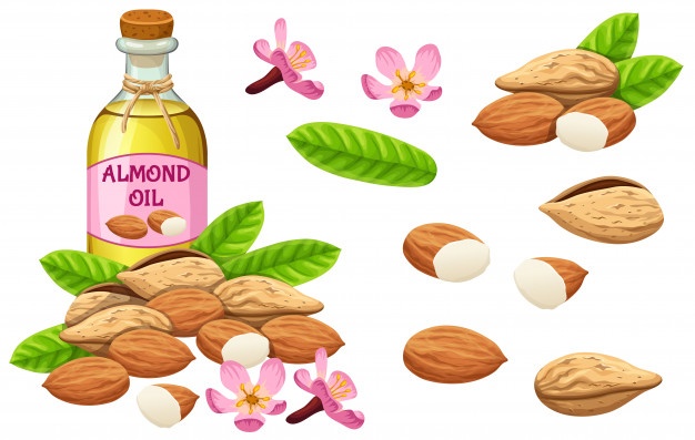 set almond oil seed leaf 105738 187 1