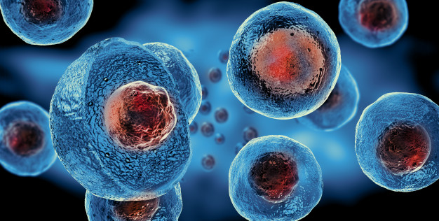 embryonic stem cells cellular therapy 151689 32 1