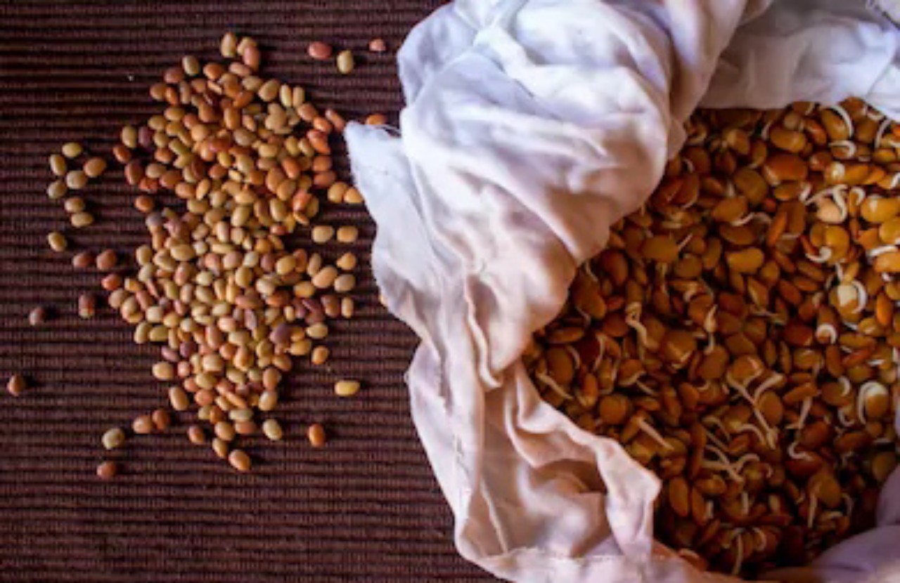 Horse Gram Kollu Benefits Buy Now For The Best Price!