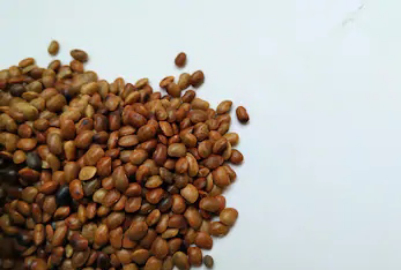 Horse Gram Kollu Benefits Buy Now For The Best Price!