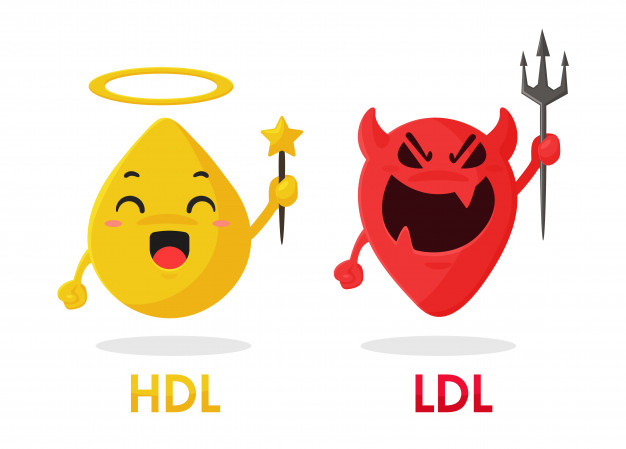 cartoon cholesterol hdl ldl components are good fats bad fats from food 68708 586