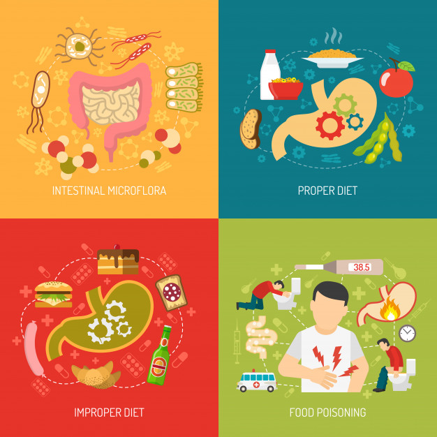 digestion concept vector image 98292 2331
