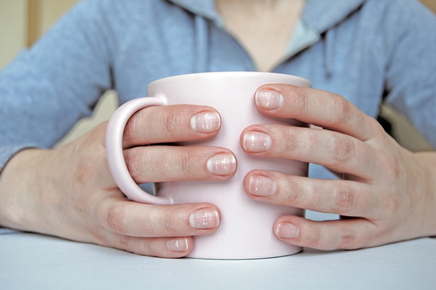 female hands holding mug 284753 108