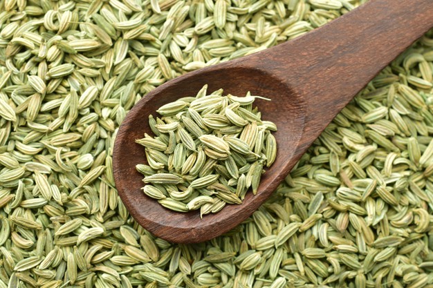 Do You Know Fennel Seeds Helps In Hair Growth – Standard Store