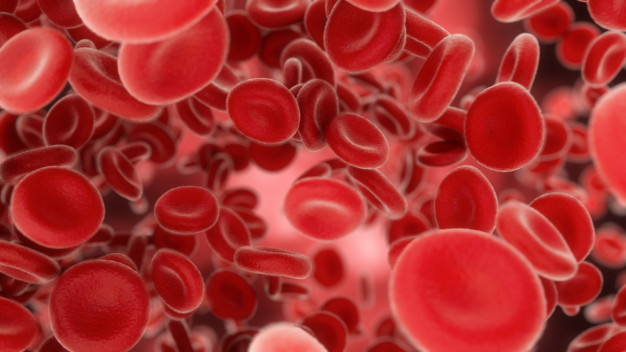 3d render blood cells flowing through arteries veins 161488 231