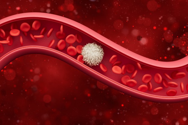 red blood cells inside artery vein flow blood inside living organism scientific medical concept 3 d illustration 200694 269