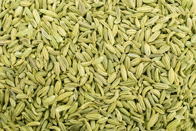 fennel seeds top view 271326 7